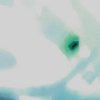 Freeqwe